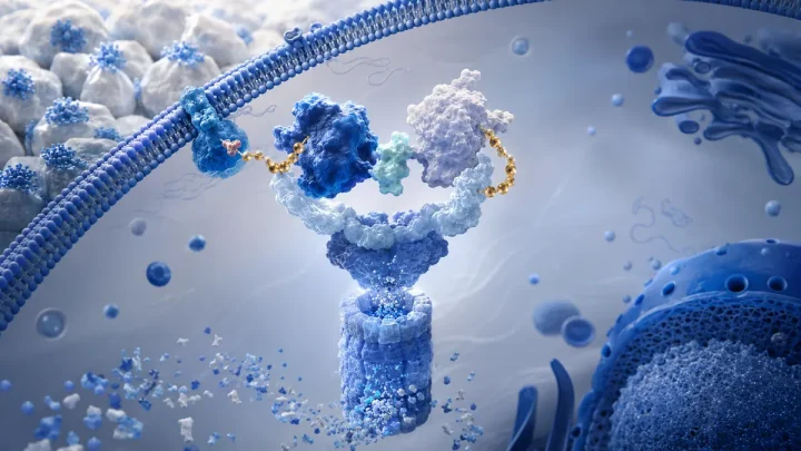 产业速览：HB Therapeutics在BIO 2026披露KRASmut/CRAF分子胶共降解项目