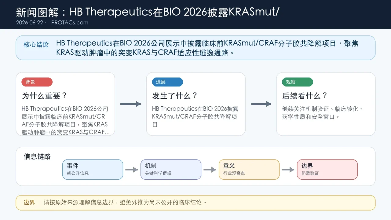 产业速览:HB Therapeutics在BIO 2026披露KRASmut/CRAF分子胶共降解项目