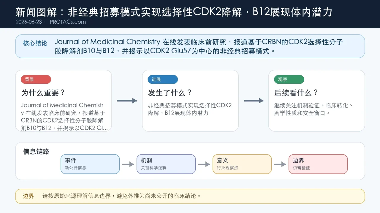 论文速览:非经典招募模式实现选择性CDK2降解,B12展现体内潜力
