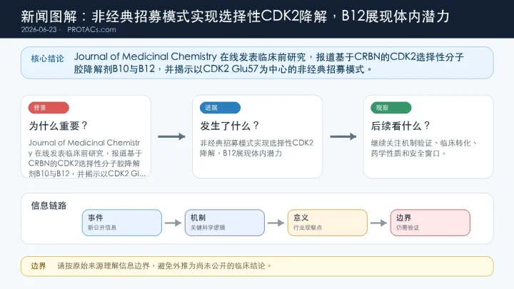 论文速览：非经典招募模式实现选择性CDK2降解，B12展现体内潜力