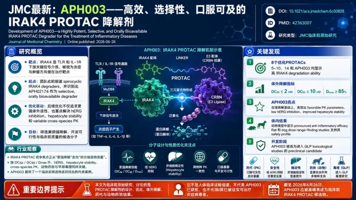 论文速览：口服IRAK4 PROTAC降解剂APH003显示强降解与动物抗炎活性