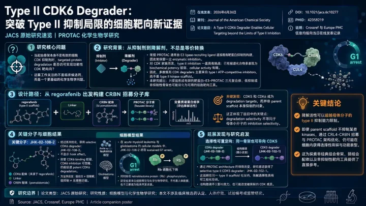 论文速览：II型CDK6降解剂从regorafenib骨架实现非抑制性细胞靶向