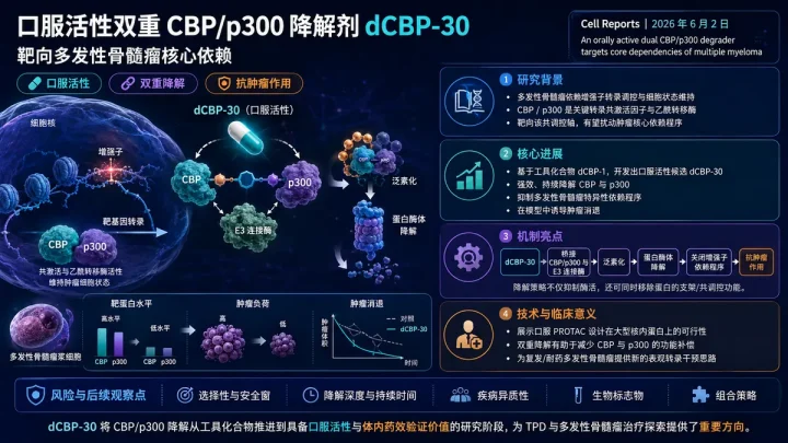 论文速览：口服双重CBP/p300降解剂dCBP-30靶向多发性骨髓瘤核心依赖机制