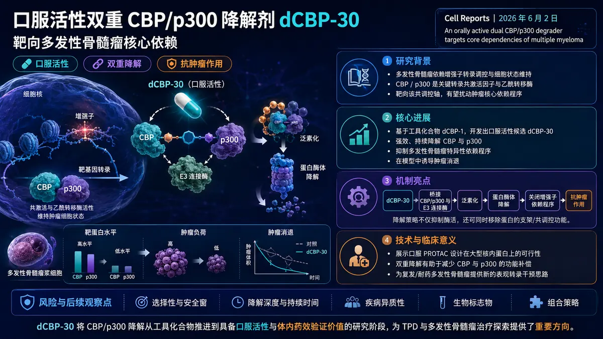 论文速览：口服双重CBP/p300降解剂dCBP-30靶向多发性骨髓瘤核心依赖机制
