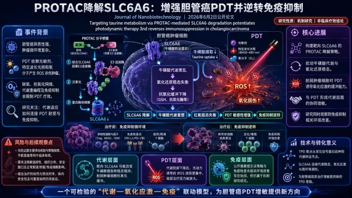 论文速览：PROTAC介导SLC6A6降解重塑牛磺酸代谢，增强胆管癌光动力治疗并逆转免疫抑制
