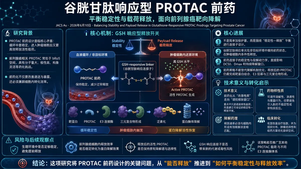 论文速览：谷胱甘肽响应型PROTAC前药在稳定性与载荷释放之间实现平衡，用于前列腺癌治疗