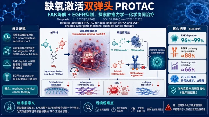 论文速览：缺氧激活双弹头 PROTAC 同步降解 FAK 并抑制 EGFR，重塑肿瘤力学微环境