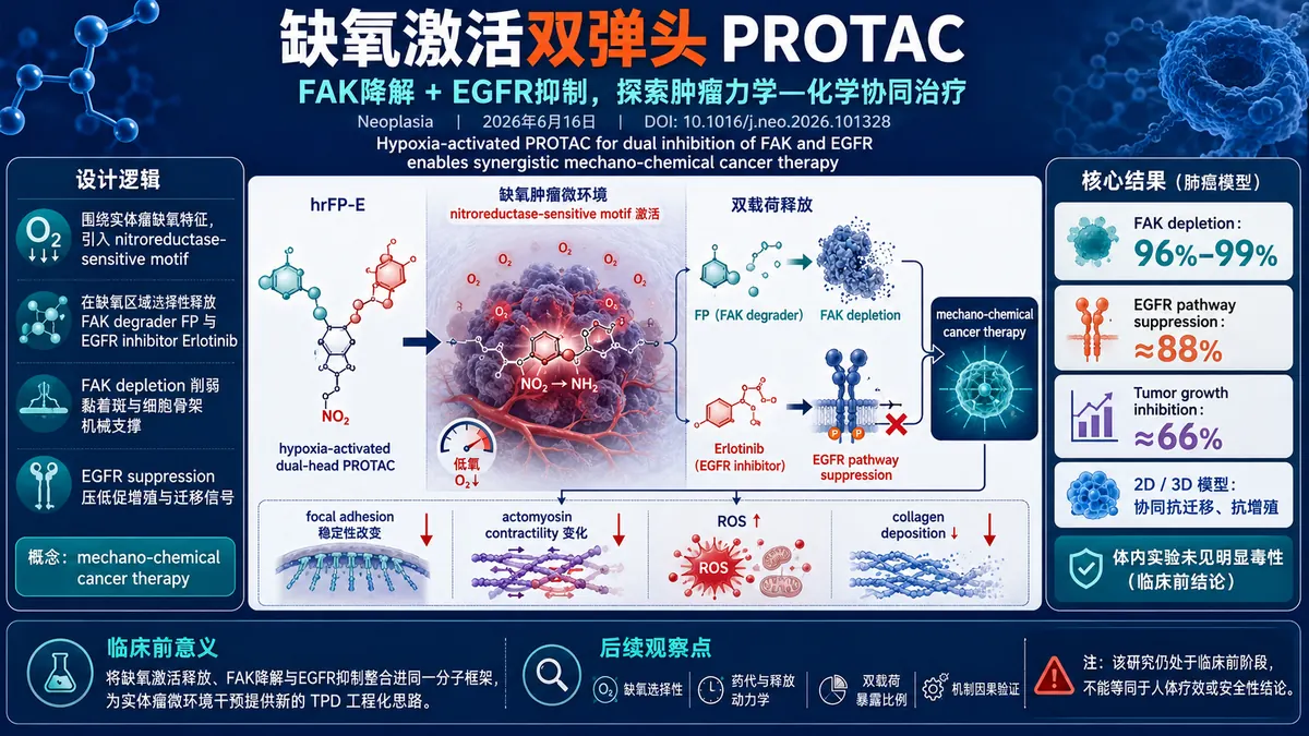 论文速览:缺氧激活双弹头 PROTAC 同步降解 FAK 并抑制 EGFR,重塑肿瘤力学微环境