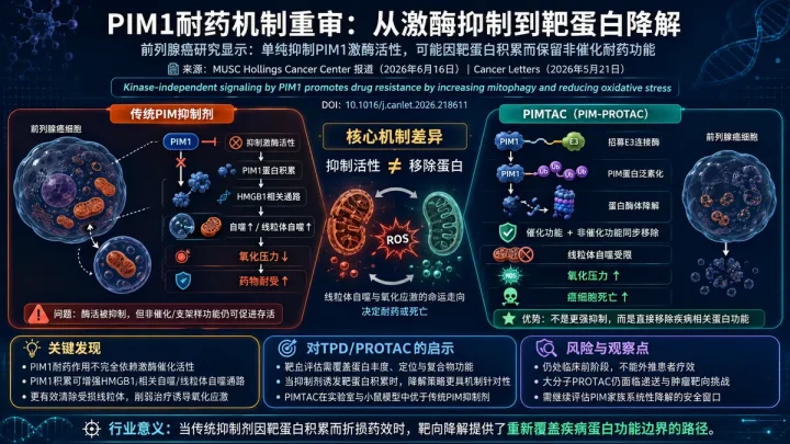 论文速览：PIM1-PROTAC PIMTAC揭示前列腺癌耐药中的激酶非依赖逃逸路径