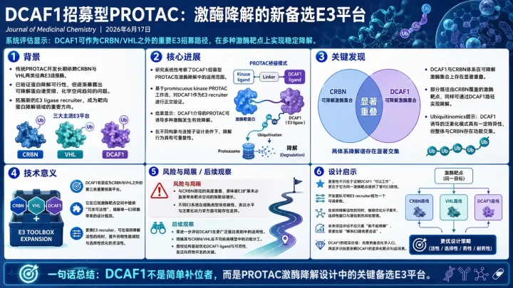 论文速览：DCAF1 招募型 PROTAC 扩展激酶降解范围，并与 CRBN 路线呈现重叠谱系
