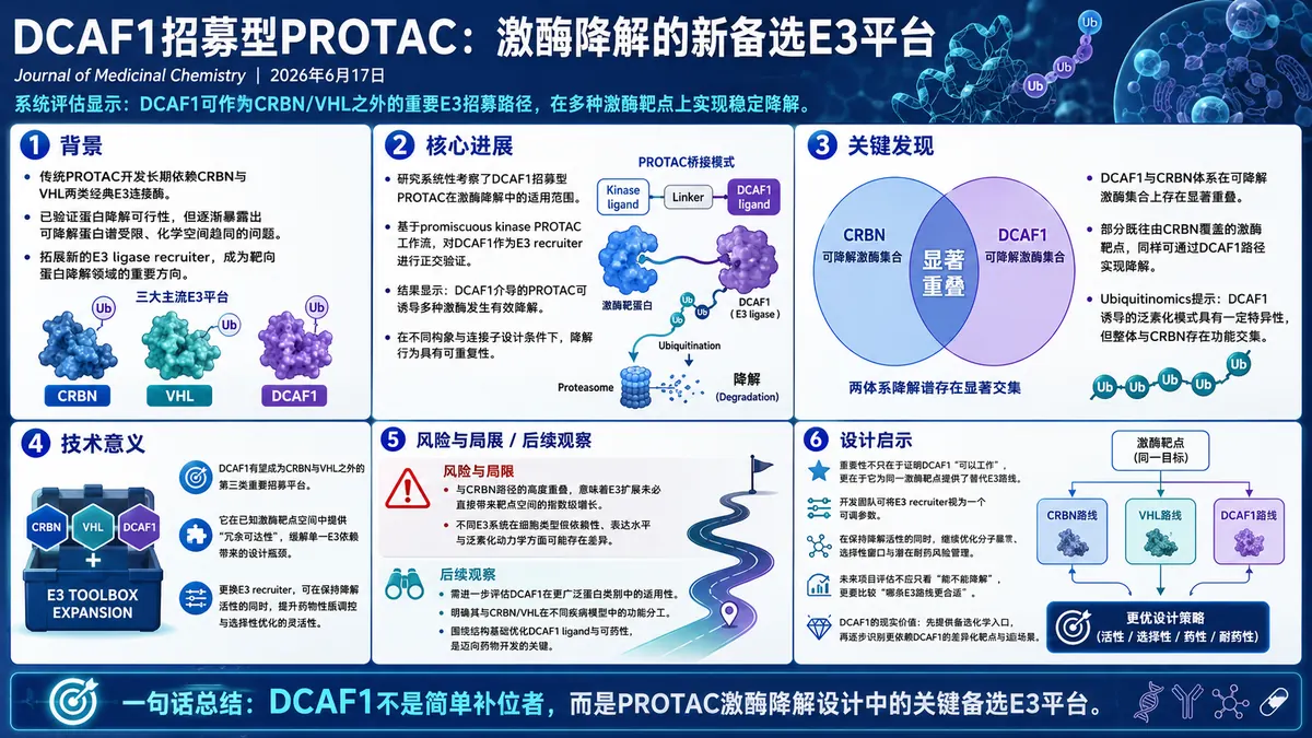 论文速览：DCAF1 招募型 PROTAC 扩展激酶降解范围，并与 CRBN 路线呈现重叠谱系