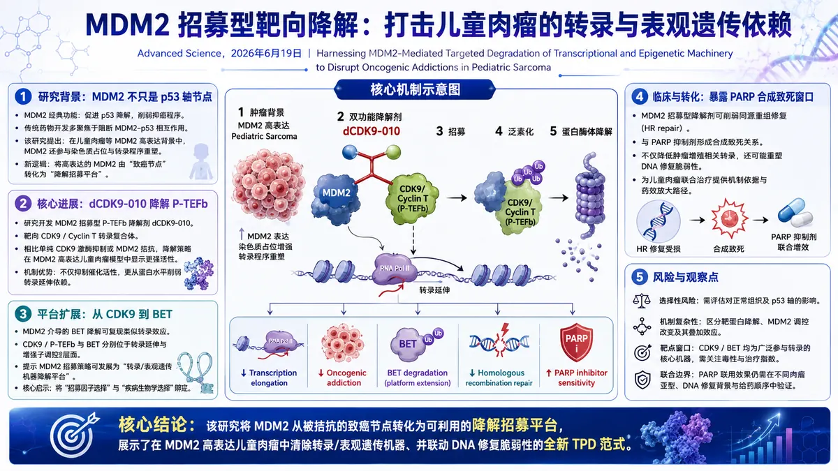 论文速览：MDM2招募型PROTAC降解CDK9转录复合体，在儿童肉瘤中暴露PARP合成致死窗口