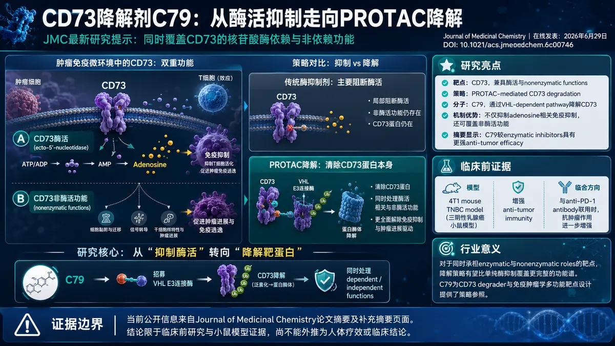 论文速览:JMC报道CD73 PROTAC C79兼顾核苷酸酶依赖和非依赖功能