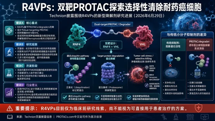 学术进展：Technion报道双靶R4VP PROTAC选择性清除耐药癌细胞