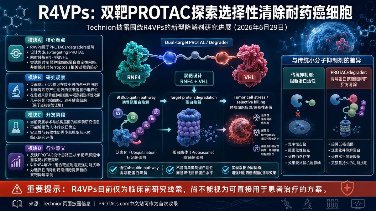 学术进展:Technion报道双靶R4VP PROTAC选择性清除耐药癌细胞