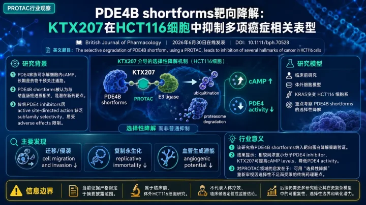 论文速览：PDE4B shortform PROTAC KTX207在HCT116细胞中抑制多项癌症表型