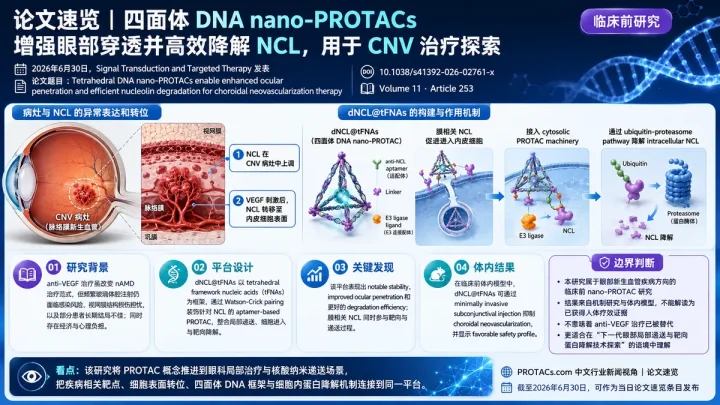 论文速览：STTT报道四面体DNA nano-PROTAC增强眼部递送并降解nucleolin