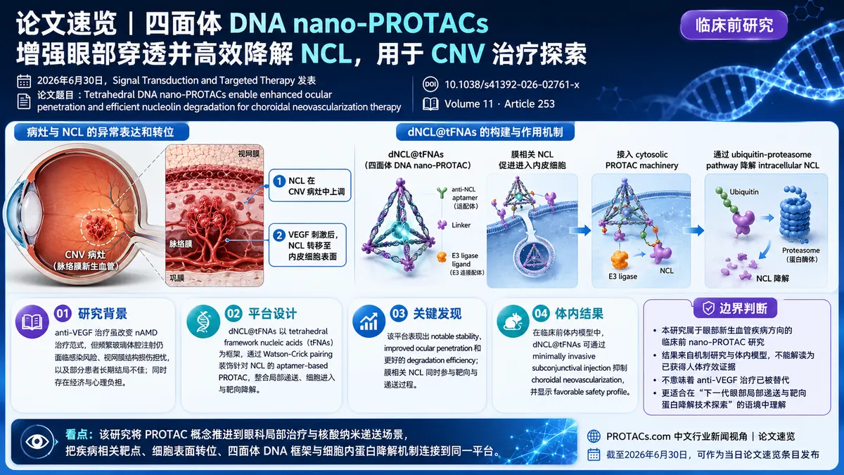 论文速览:STTT报道四面体DNA nano-PROTAC增强眼部递送并降解nucleolin