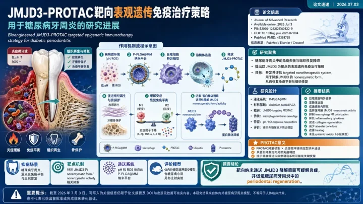 论文速览：JARE上线JMJD3-PROTAC糖尿病牙周炎免疫治疗策略