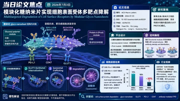 论文速览：ACS Macro Letters报道模块化糖纳米片实现细胞表面受体多靶点降解