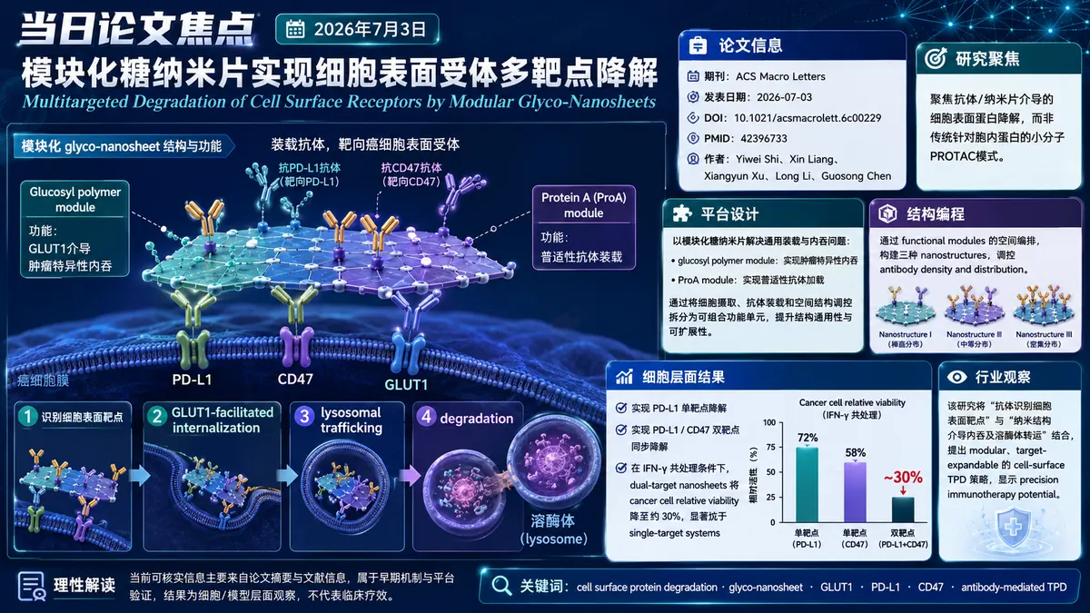 论文速览:ACS Macro Letters报道模块化糖纳米片实现细胞表面受体多靶点降解