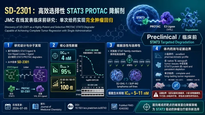 论文速览：JMC发现STAT3 PROTAC降解剂SD-2301，单次给药实现完全肿瘤回归