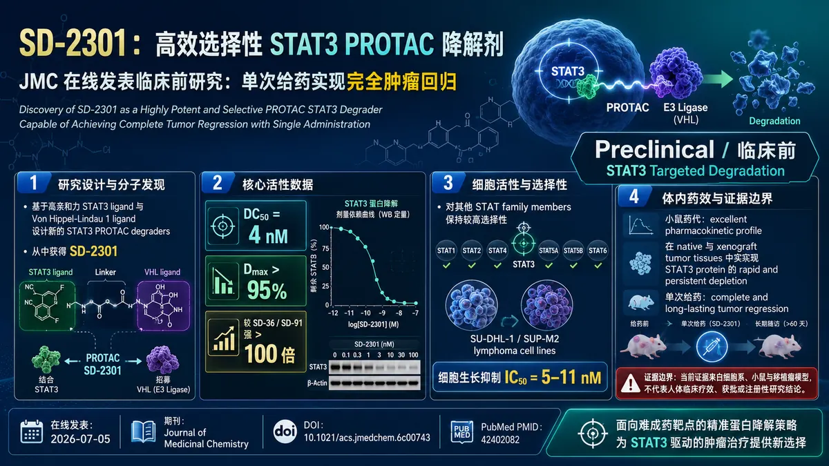 论文速览:JMC发现STAT3 PROTAC降解剂SD-2301,单次给药实现完全肿瘤回归