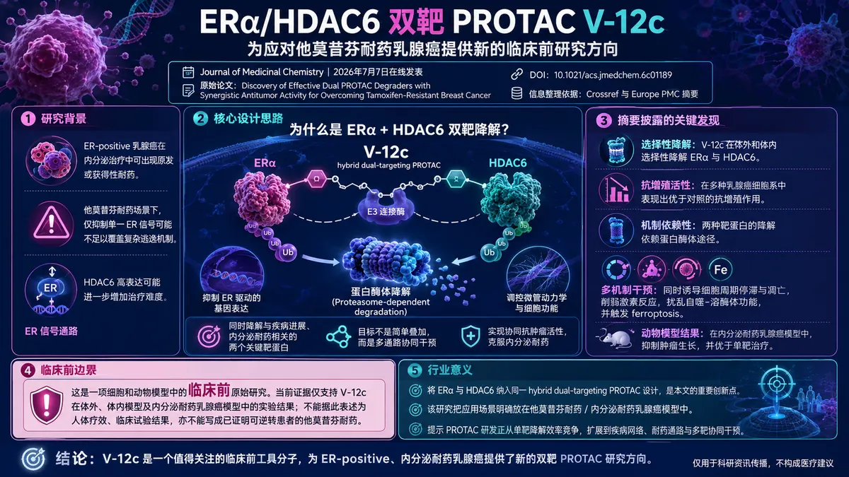 论文速览:ERα/HDAC6双靶PROTAC V-12c应对他莫昔芬耐药乳腺癌