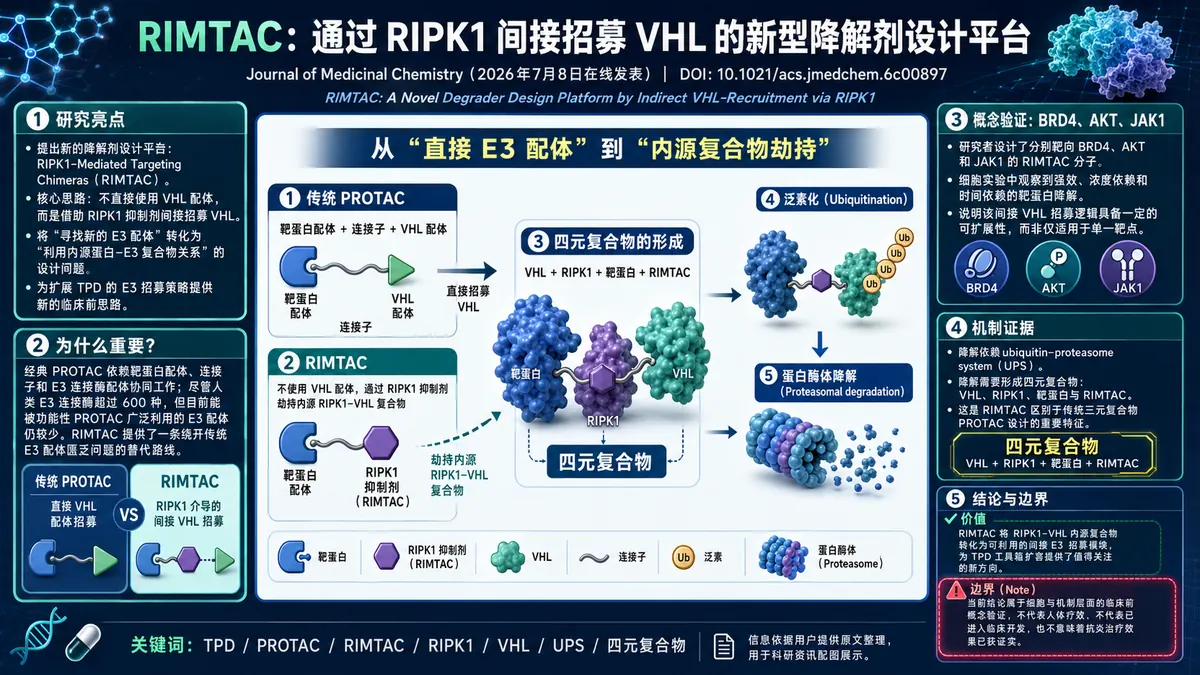 论文速览：RIMTAC借助RIPK1-VHL复合物间接招募VHL扩展降解设计
