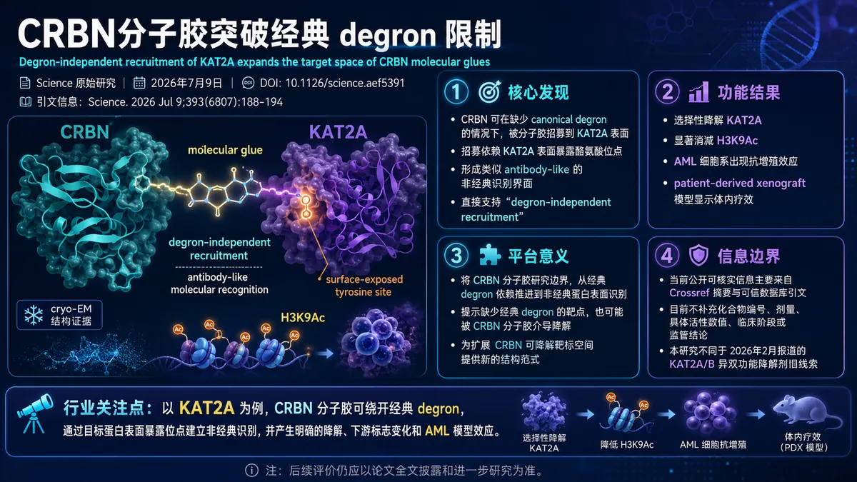 论文速览：Science报道KAT2A分子胶突破经典degron限制，扩展CRBN可降解靶标空间