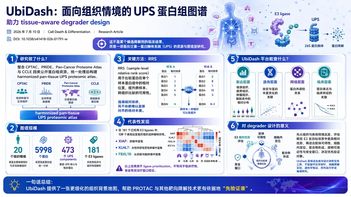 论文速览:UbiDash 构建组织情境化 UPS 图谱,帮助筛选 E3 ligase 与 degrader 设计