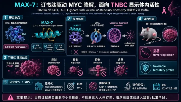 论文速览：MAX-7 stapled peptide 通过 CMA 降解 MYC，在 TNBC 模型显示体内活性