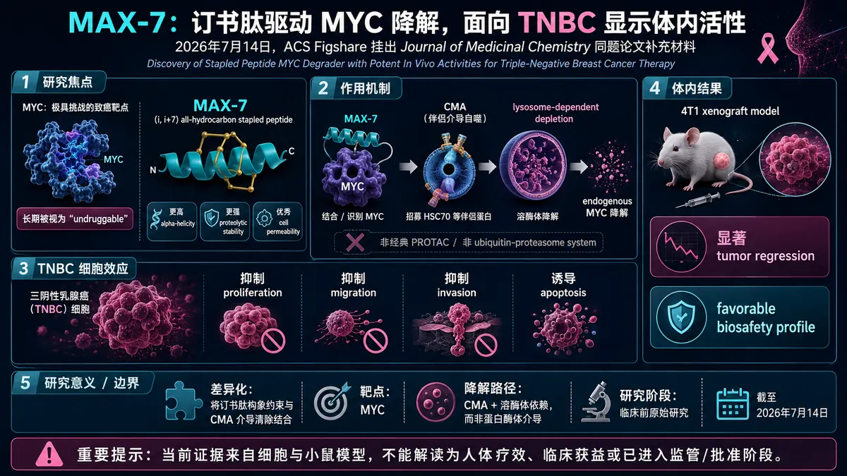 论文速览:MAX-7 stapled peptide 通过 CMA 降解 MYC,在 TNBC 模型显示体内活性