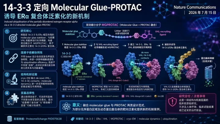 论文速览：14-3-3 directed molecular glue-PROTAC 诱导 ERα 复合体泛素化
