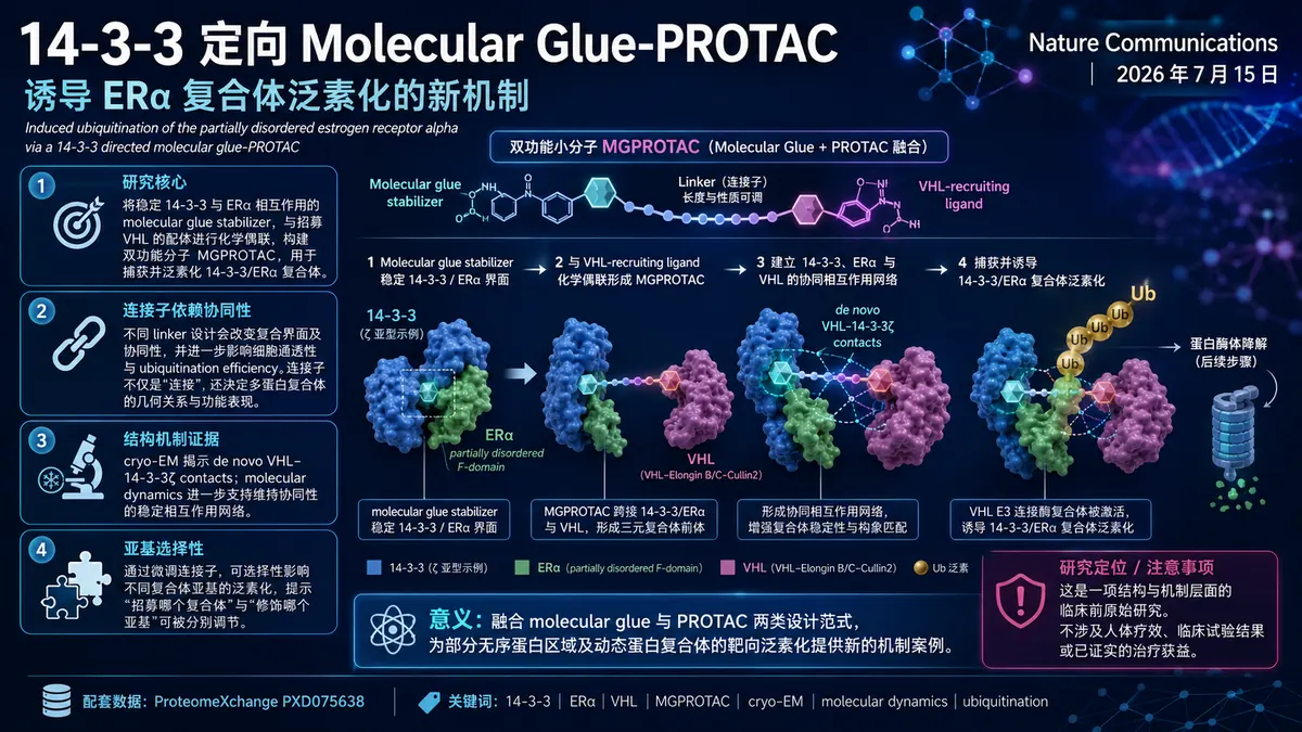论文速览:14-3-3 directed molecular glue-PROTAC 诱导 ERα 复合体泛素化