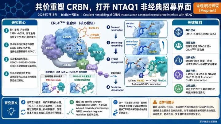 预印本速览：CRBN 共价重塑生成 NTAQ1 非经典分子胶降解界面