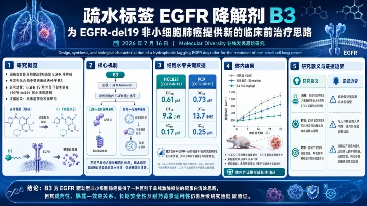 论文速览：疏水标签 EGFR 降解剂 B3 在 EGFR-del19 NSCLC 模型中抑癌