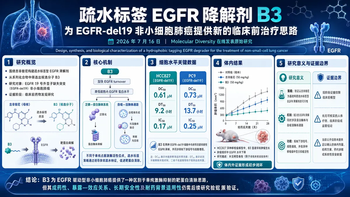 论文速览：疏水标签 EGFR 降解剂 B3 在 EGFR-del19 NSCLC 模型中抑癌