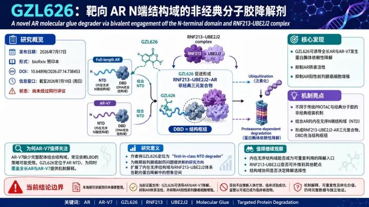 预印本速览：GZL626 双价招募 RNF213-UBE2J2 降解 AR 与 AR-V7