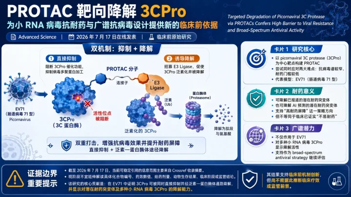 论文速览：3C 蛋白酶 PROTAC 以抑制加降解双机制提升小 RNA 病毒抗耐药广谱活性