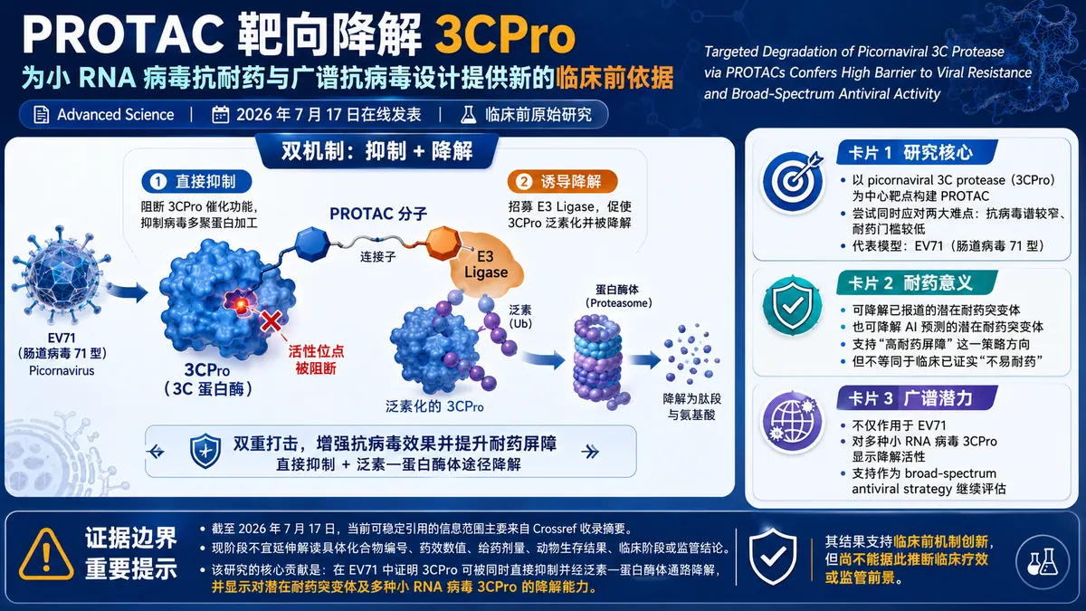 论文速览：3C 蛋白酶 PROTAC 以抑制加降解双机制提升小 RNA 病毒抗耐药广谱活性