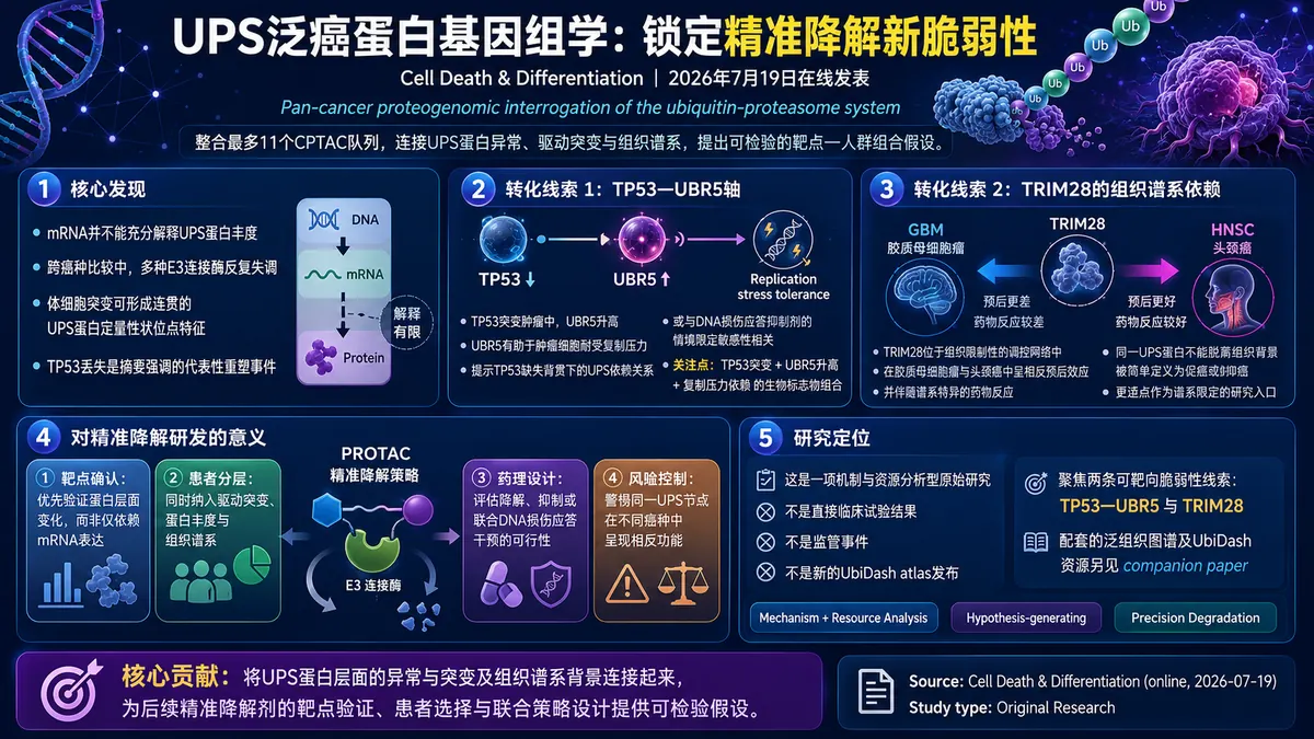 论文速览：泛癌 UPS 蛋白组学解析指向 TP53-UBR5 与 TRIM28 可降解脆弱性