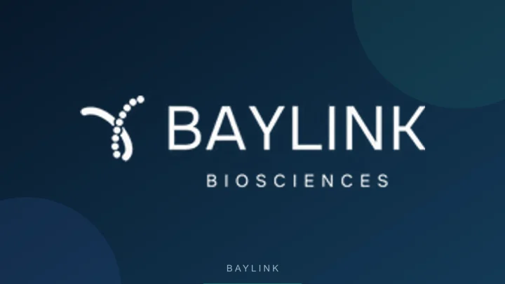 Baylink 公司 Logo 或品牌代表图