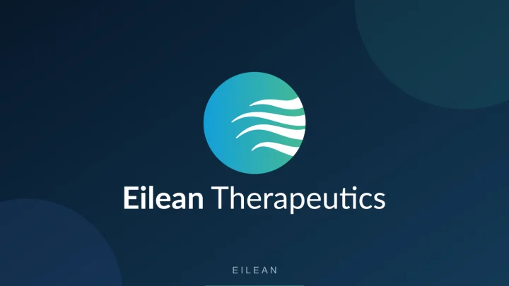 Eilean 公司 Logo 或品牌代表图