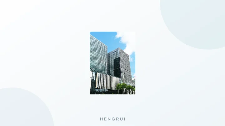 Hengrui 公司 Logo 或品牌代表图