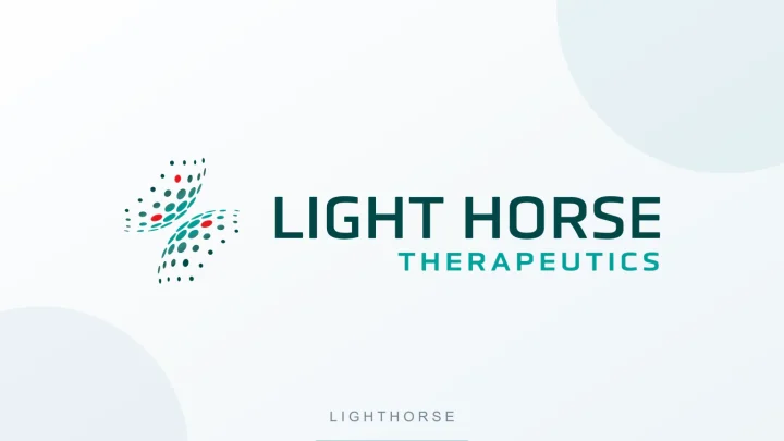 Lighthorse 公司 Logo 或品牌代表图