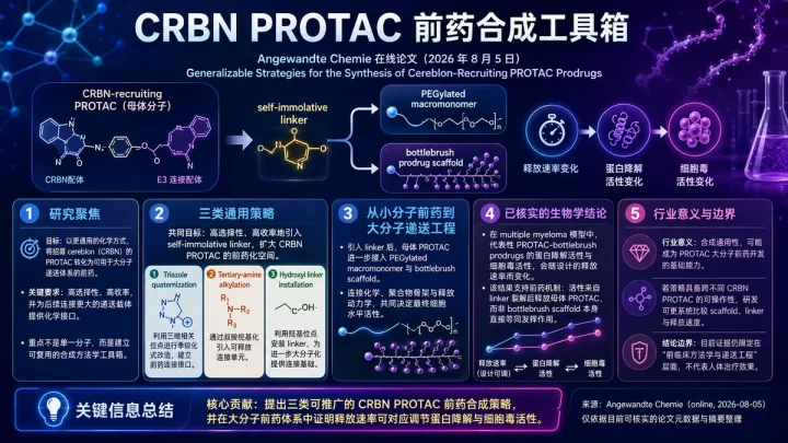 论文速览：Angewandte Chemie 提出三类通用 CRBN PROTAC 前药合成策略，并验证可调释放降解活性