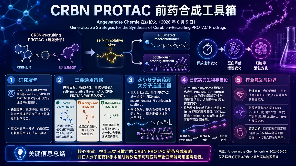 论文速览：Angewandte Chemie 提出三类通用 CRBN PROTAC 前药合成策略，并验证可调释放降解活性
