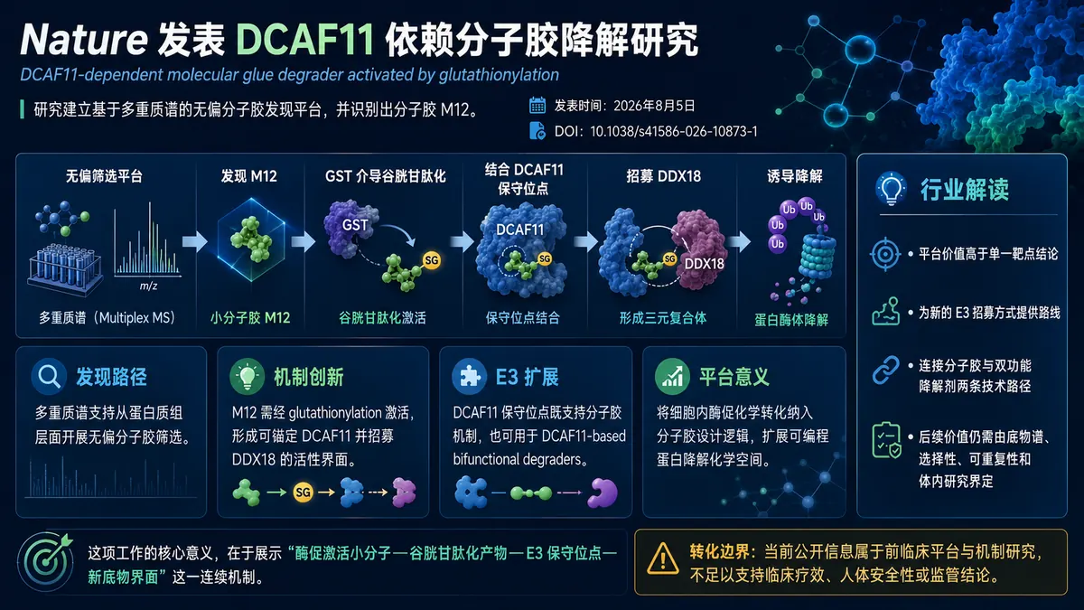 论文速览：DCAF11 分子胶前药 M12 经谷胱甘肽化激活后降解 DDX18，并扩展新 E3 招募空间