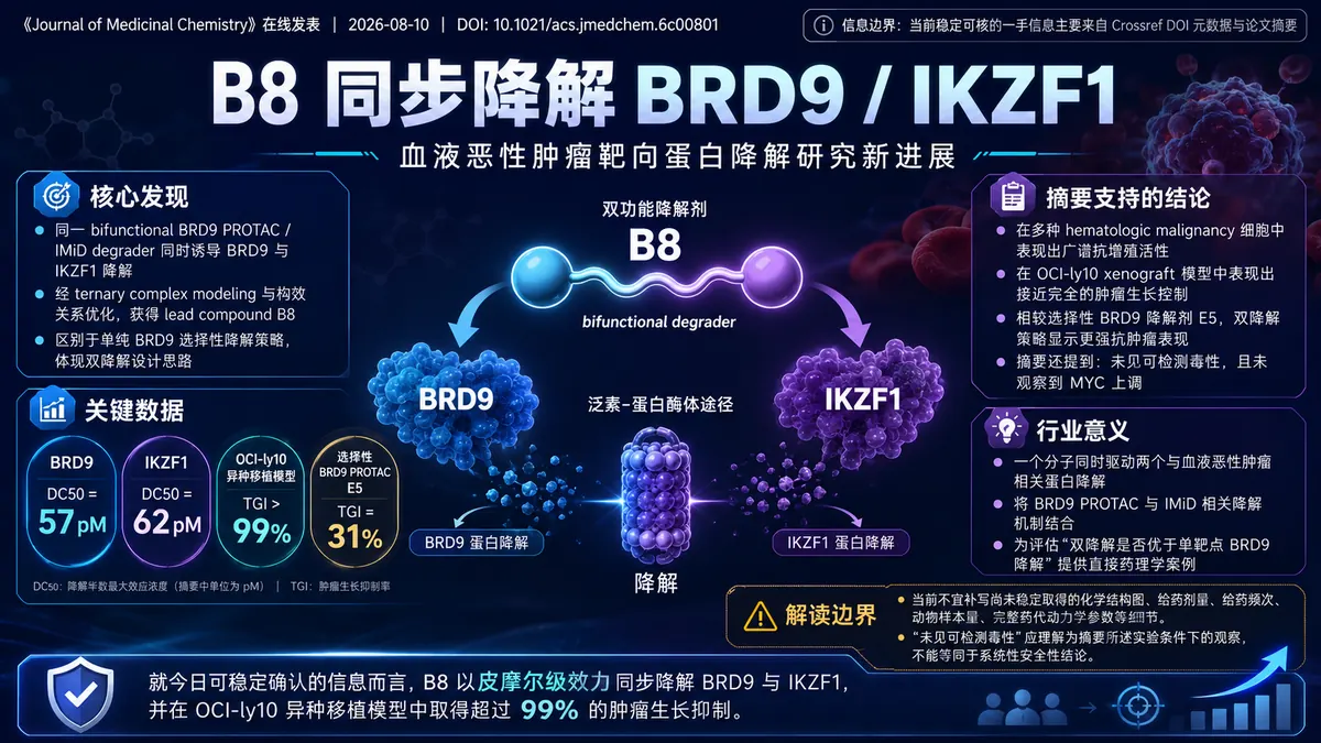 论文速览:BRD9/IKZF1 双降解剂 B8 在血液恶性肿瘤模型中实现近乎完全肿瘤回缩